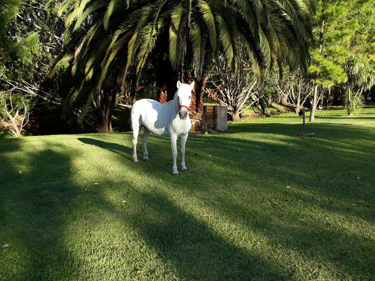Chacra La Escondida Villa Colonia del Sacramento Kültér fotó