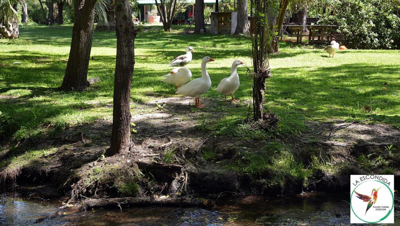 Chacra La Escondida Villa Colonia del Sacramento Kültér fotó
