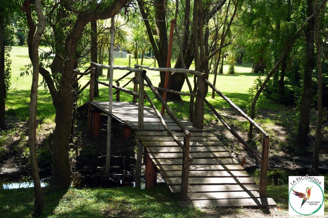 Chacra La Escondida Villa Colonia del Sacramento Kültér fotó